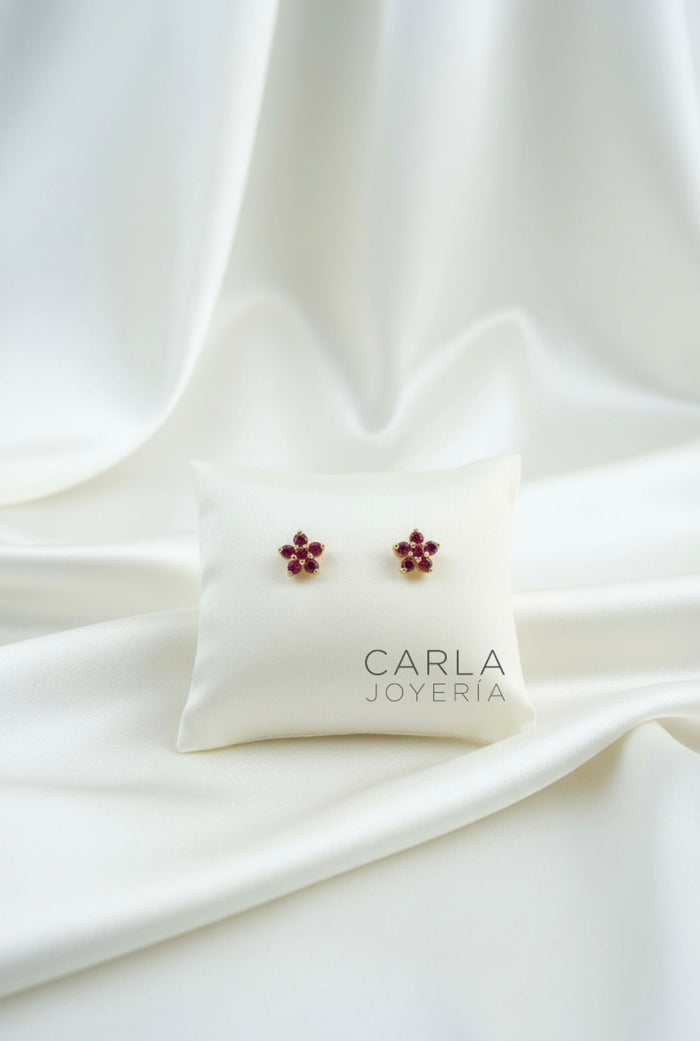 Aretes Roseta Rubí
